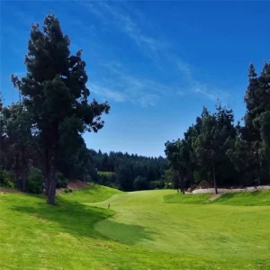 El Chaparral golf course fairway surrounded by trees and blue sky.