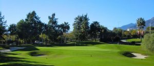 One of the greens at Santa Clara with trees behind and bunkers to the front right and left protecting the green.