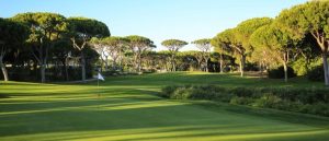 The Millennium golf course with one of the greens, white pin flag and pine trees in the rear.