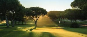 One of the green at Pinhal Golf with the sun coming through the pine trees hitting the green.