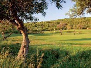 A green at Alamos golf with yellow pin flag.