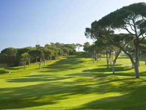 A green at the Old Course with a view up the fairway back to the tee.