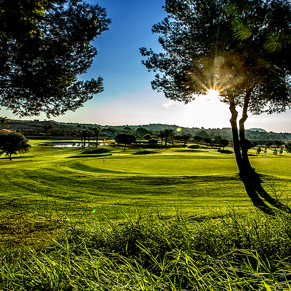 A green at Alenda Golf with the sun shining through the trees.