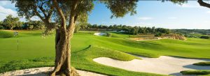 One of the greens at the Amendoeira Faldo course protected by white sandy bunkers.