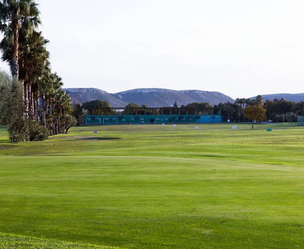 The driving range at El Plantio golf course with mountains behind and palm trees to the left.
