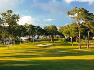 One of the beautiful greens at Pinheiros Altos surrounded by pine trees with a slightly cloudy sky.