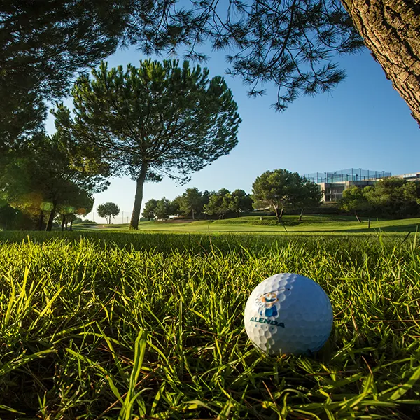 alenda-course (2)