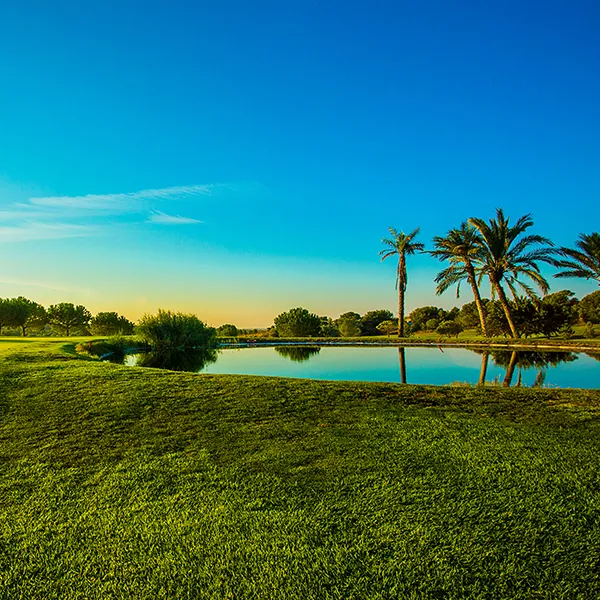 alenda-course (3)