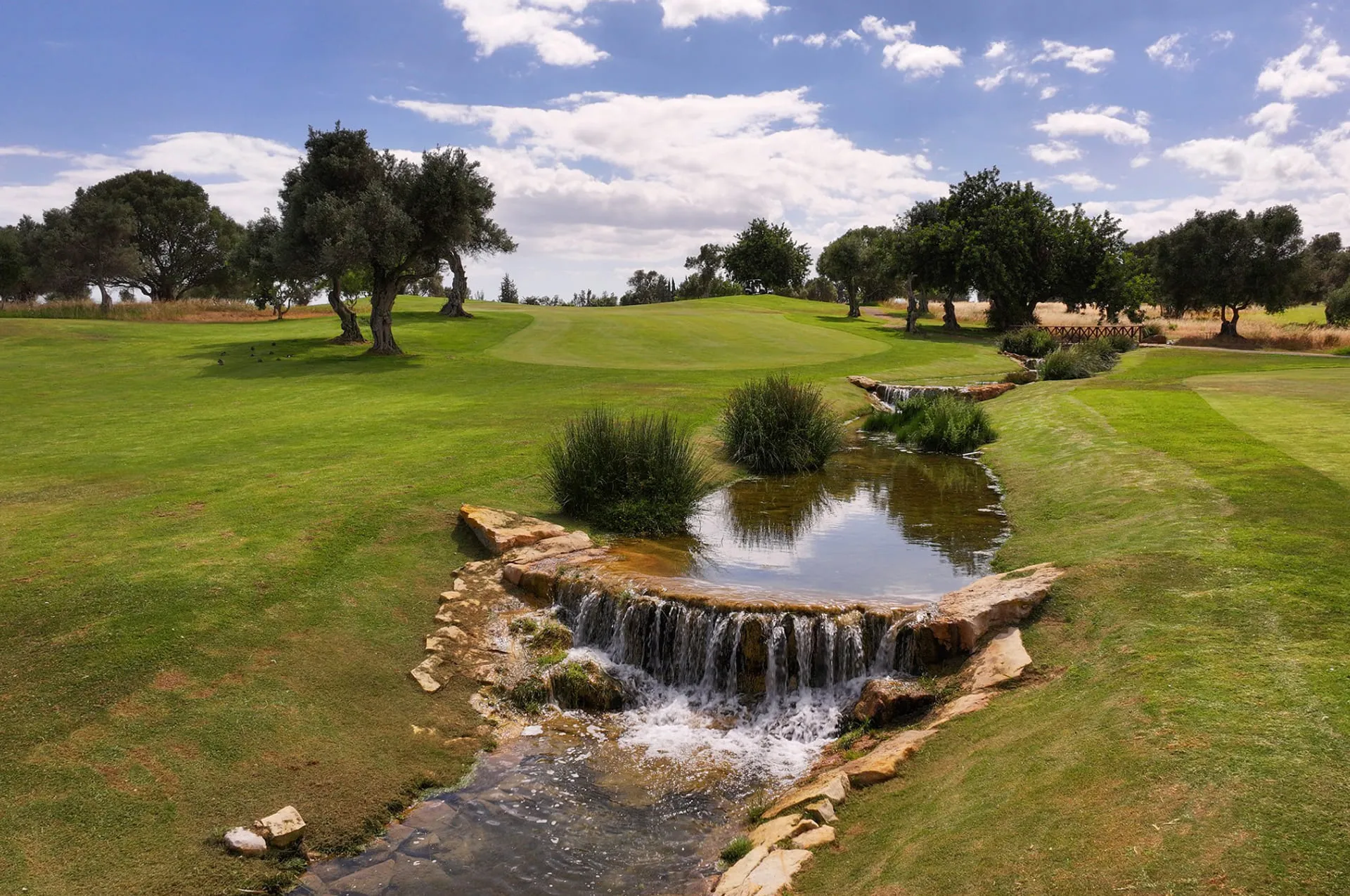 quinta-de-cima (18)