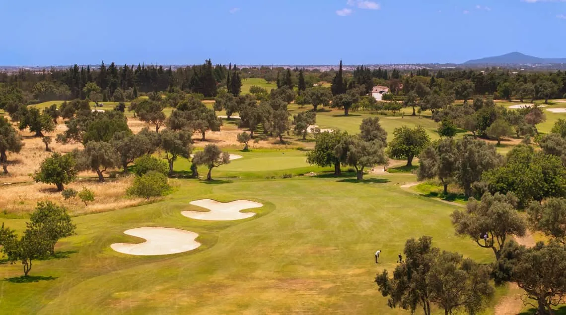 quinta-de-cima (2)
