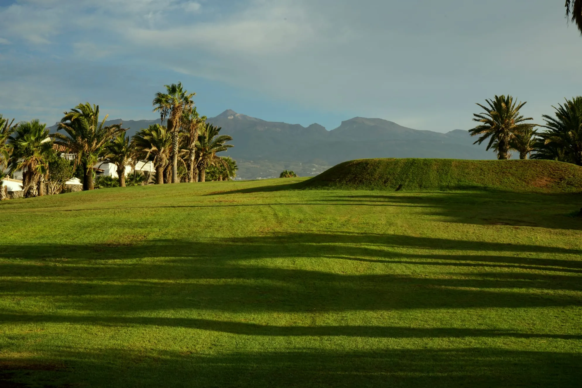 amarilla-golf (1)