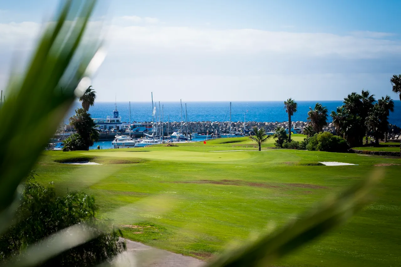amarilla-golf (3)