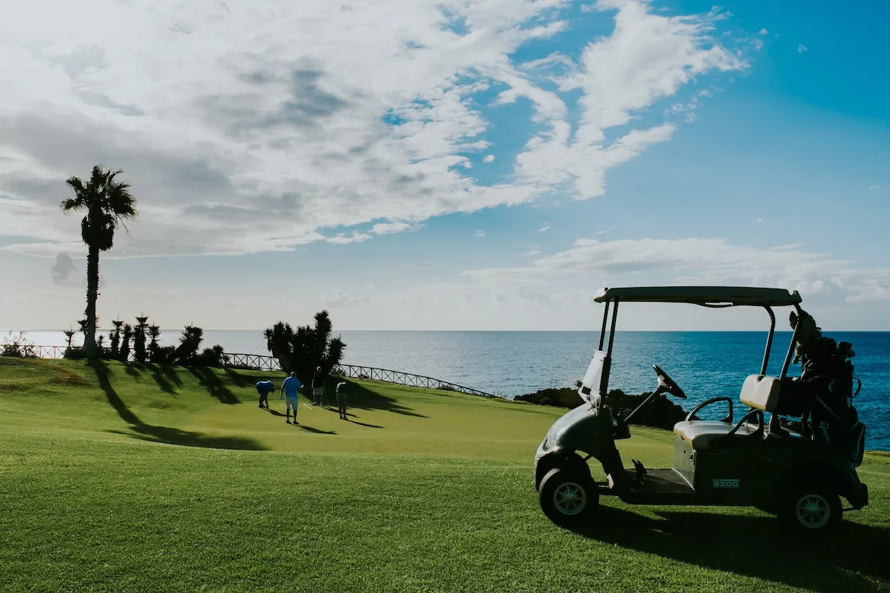 amarilla-golf (7)