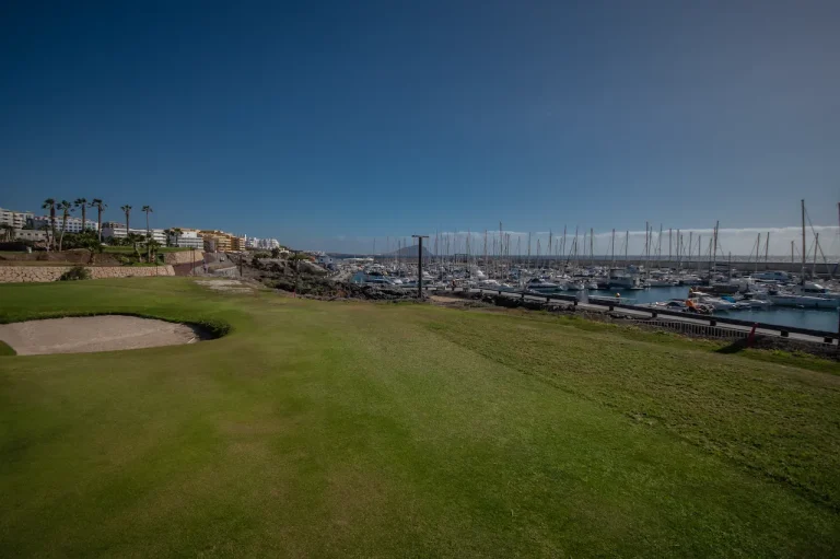 amarilla-golf (9)