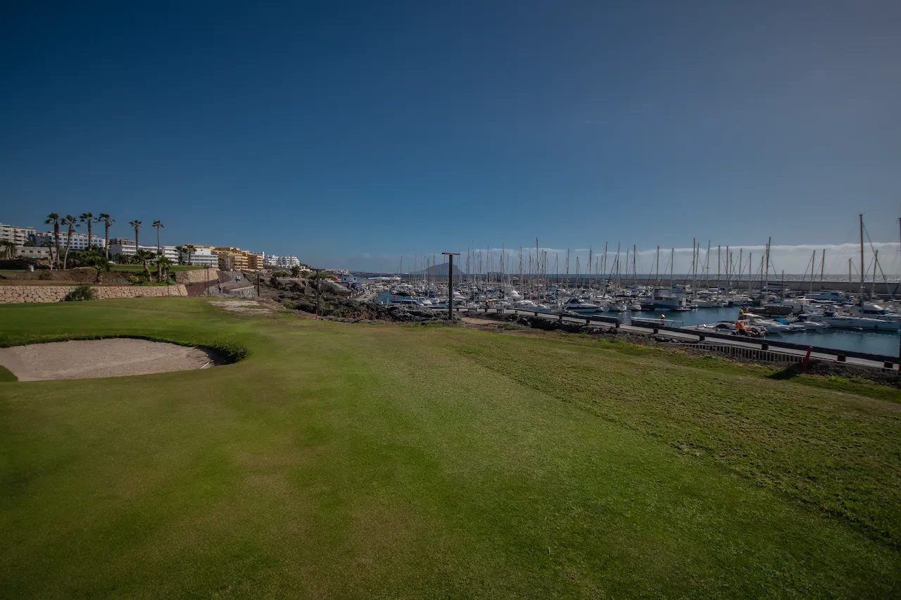 amarilla-golf (9)