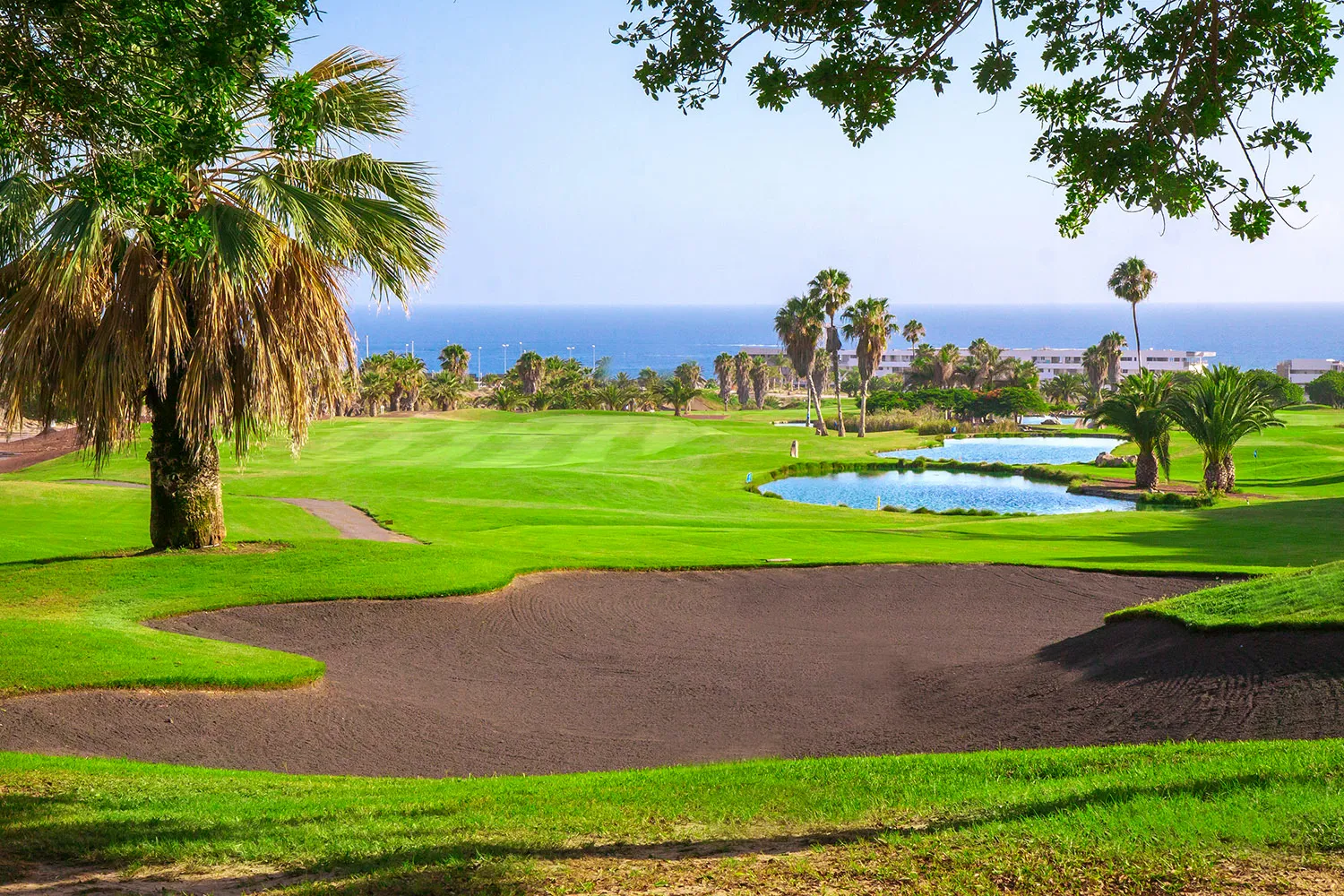 golf-costa-adeje (10)
