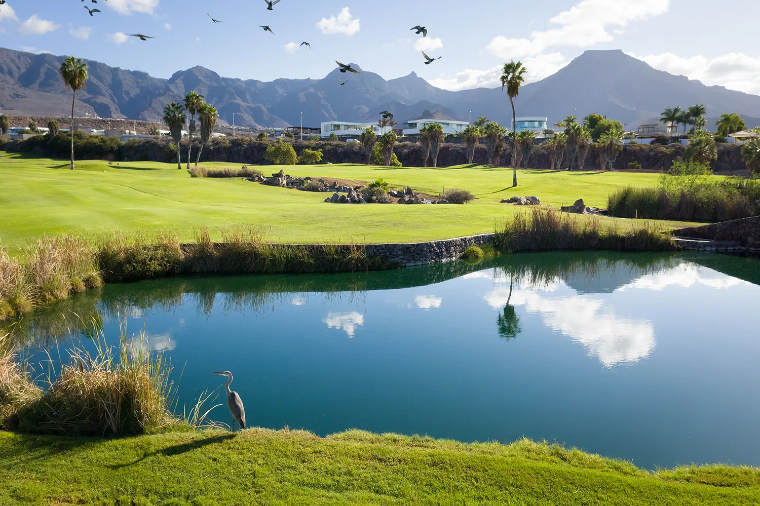 golf-costa-adeje (11)