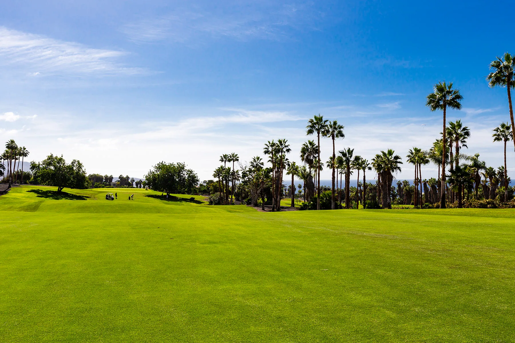 golf-costa-adeje (5)