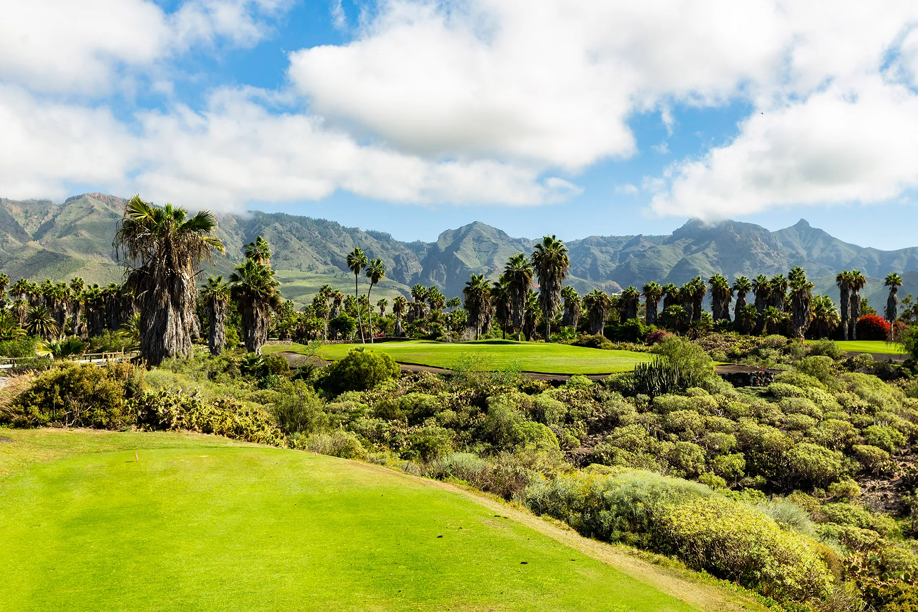 golf-costa-adeje (6)