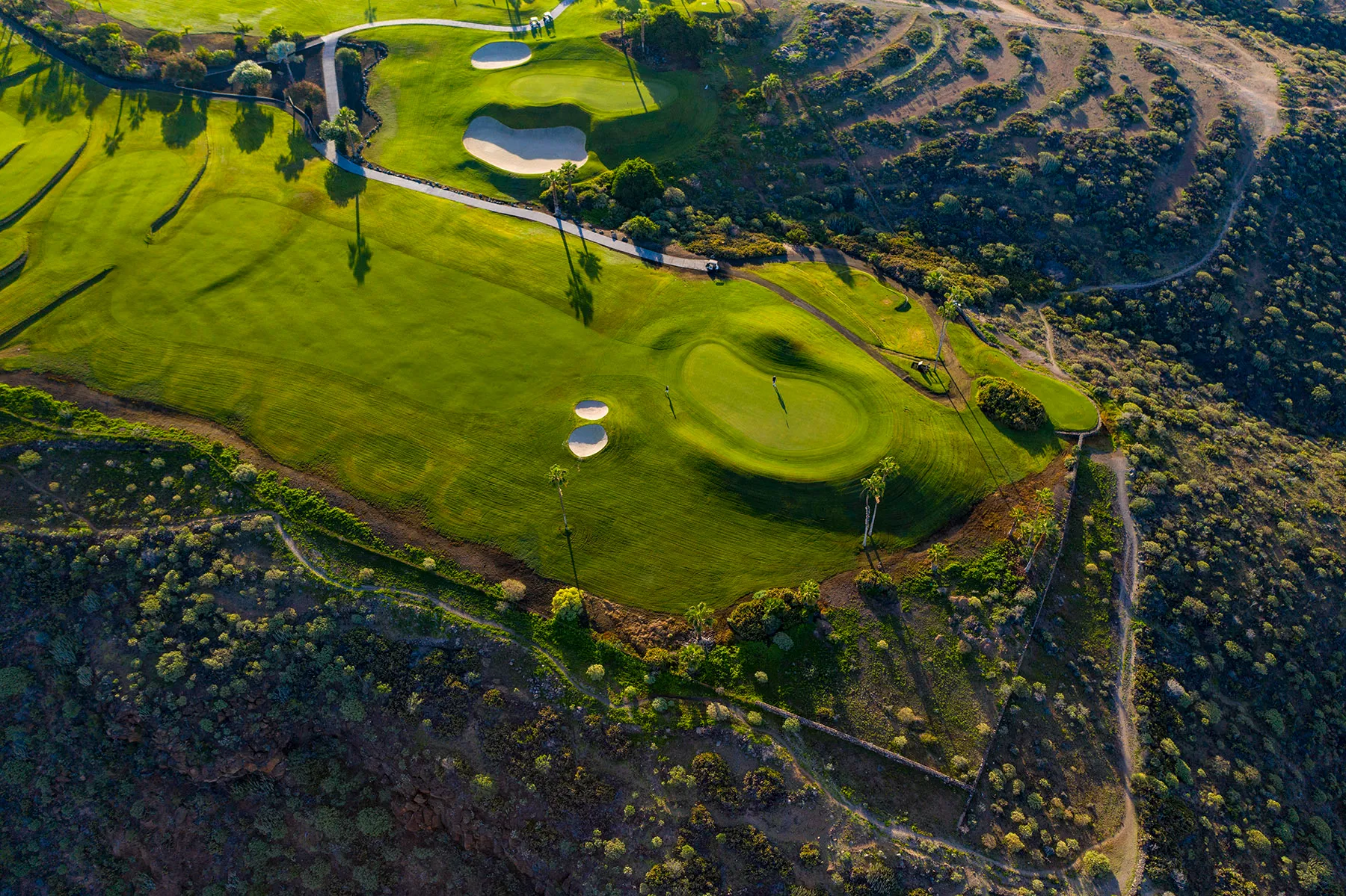 golf-costa-adeje (8)