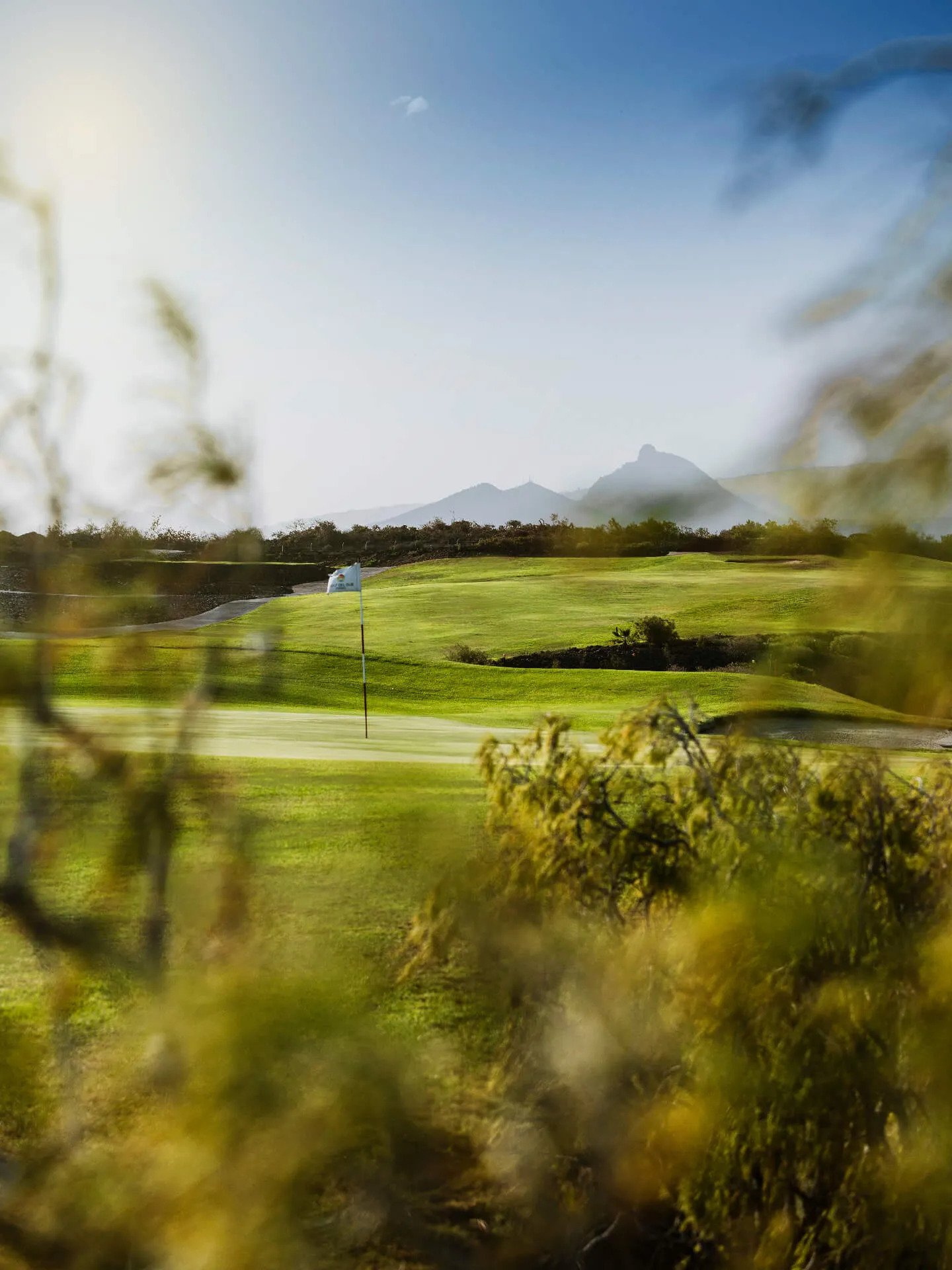 golfdelsur (1)
