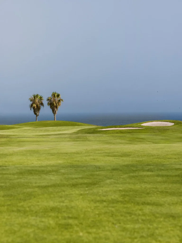 golfdelsur (2)