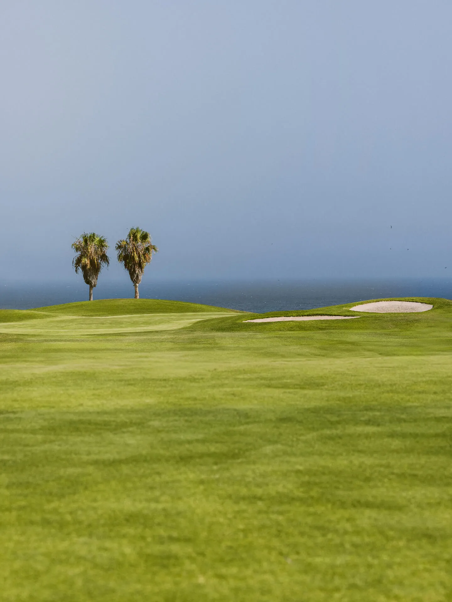 golfdelsur (2)