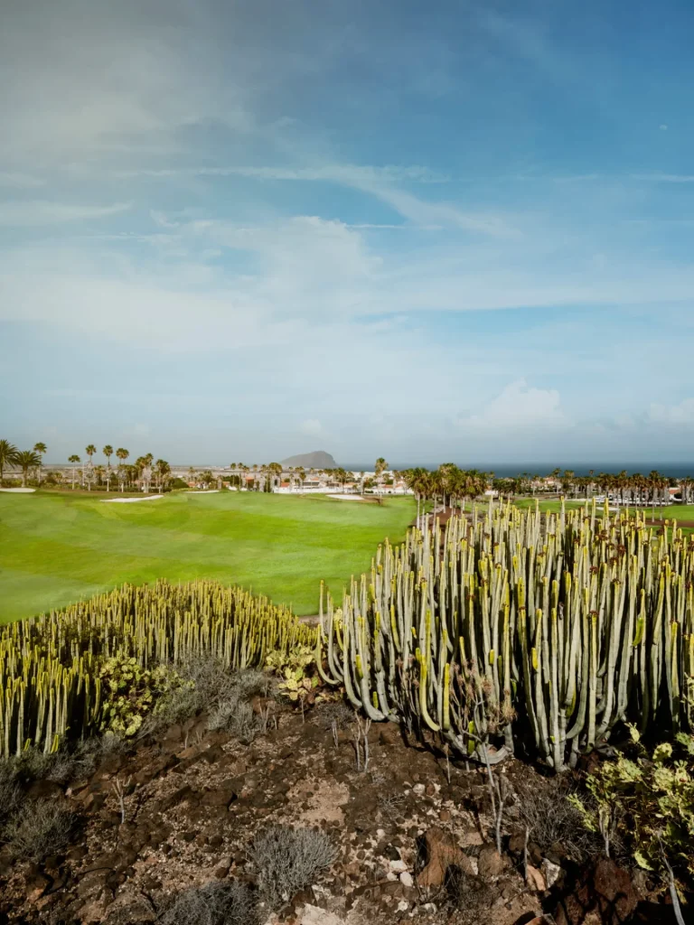 golfdelsur (3)