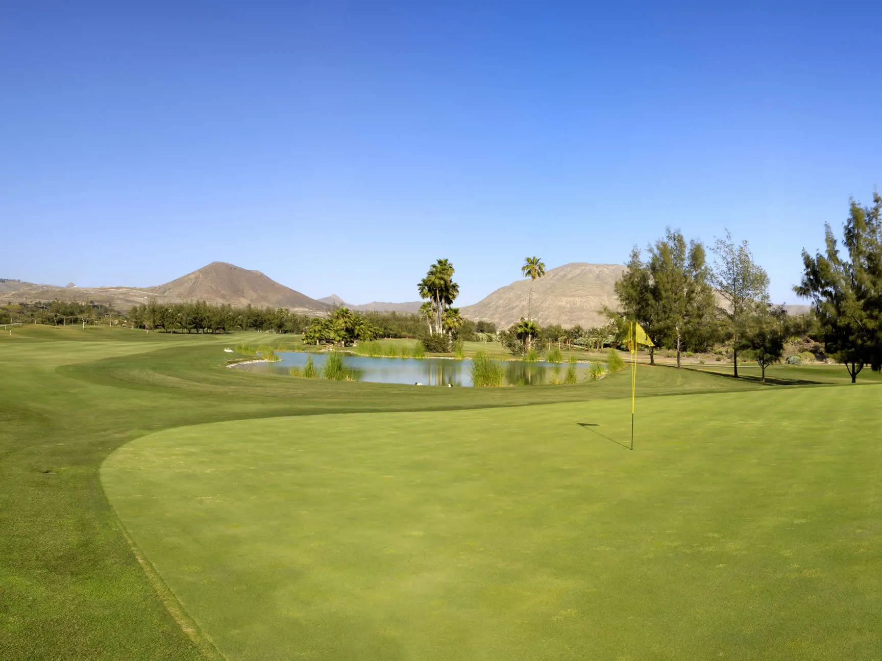 golflasamericas (12)