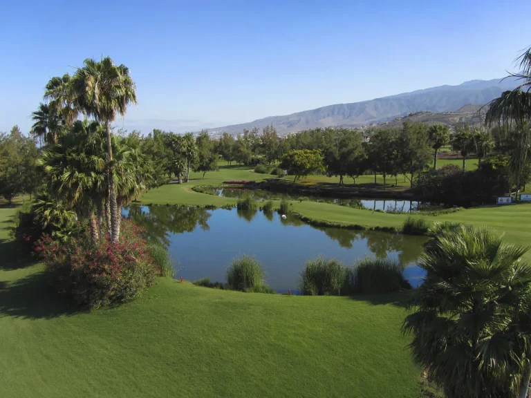 golflasamericas (15)