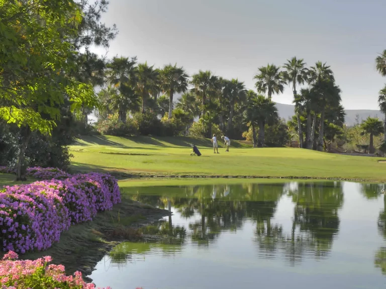 golflasamericas (16)
