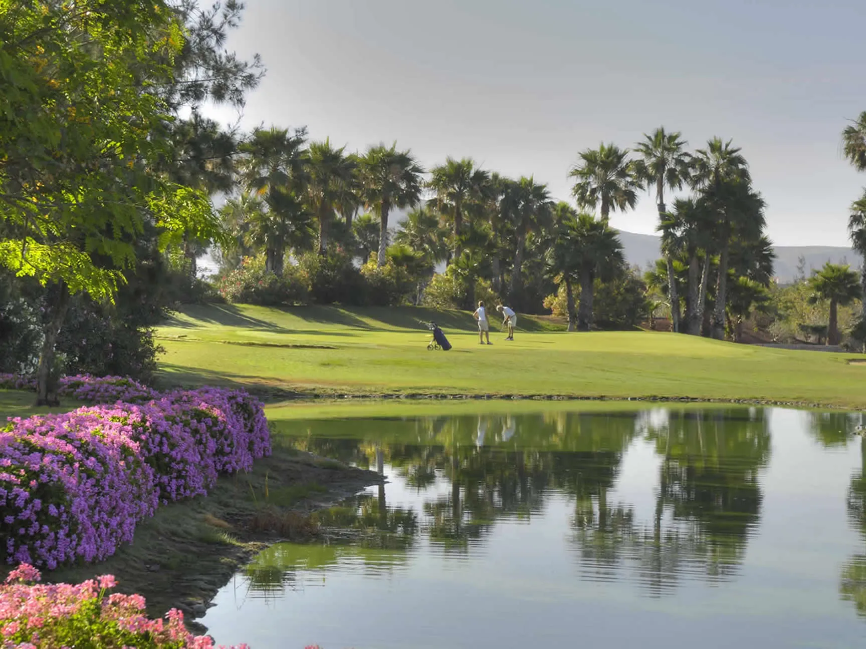 golflasamericas (16)