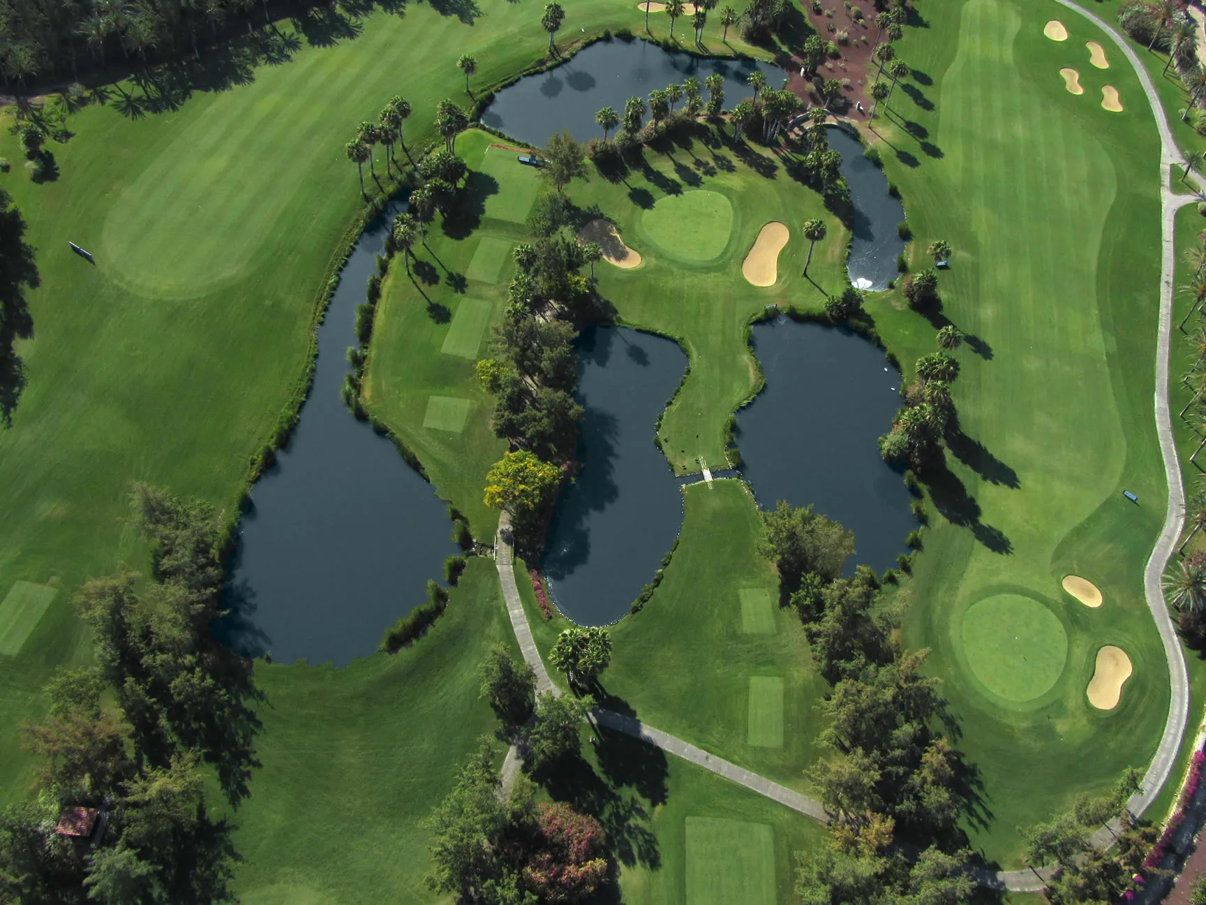 golflasamericas (17)