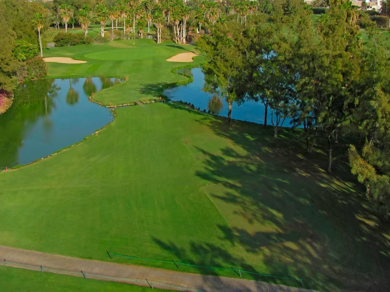 golflasamericas (7)