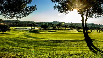 A green at Alenda Golf with the sun shining through the trees.