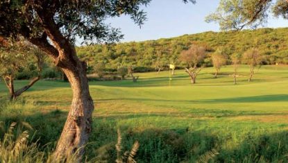 A green at Alamos golf with yellow pin flag.
