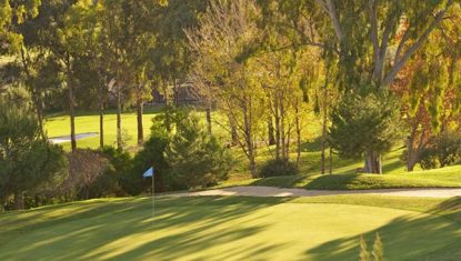 One of the greens at Atalaya New course with trees behind and the sun shining on the green.