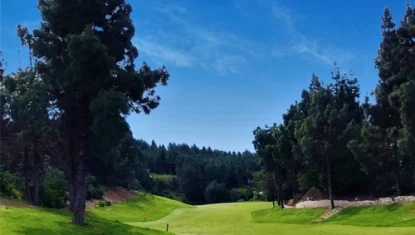 El Chaparral golf course fairway surrounded by trees and blue sky.