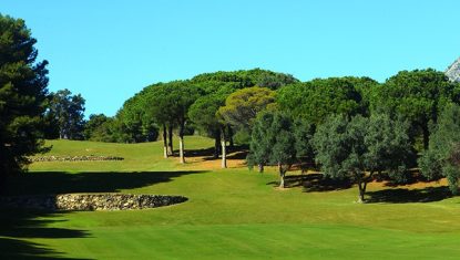 Beautiful view of the Torrequebrada Golf course with fairway lined by pine trees and a clear blue sky.